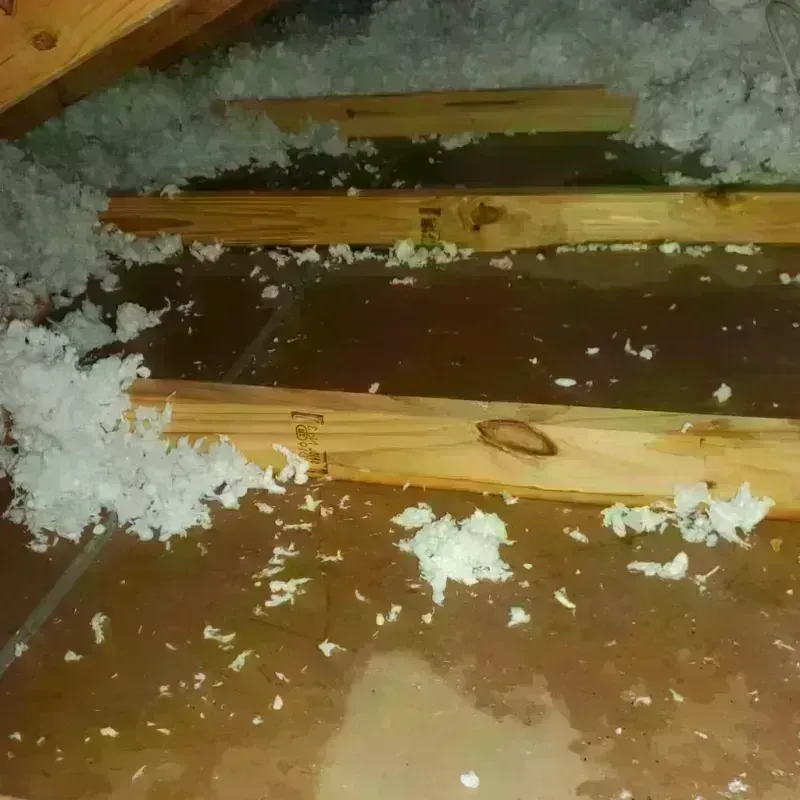 Attic Water Damage in Loves Park, IL